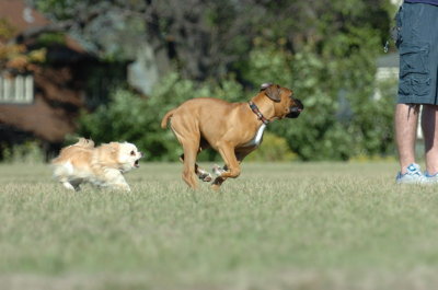 Sept13_07_028.JPG