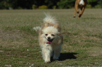 Sept13_07_036.JPG