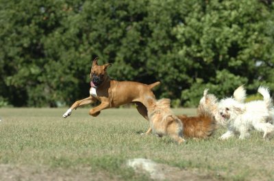 Sept13_07_037.JPG