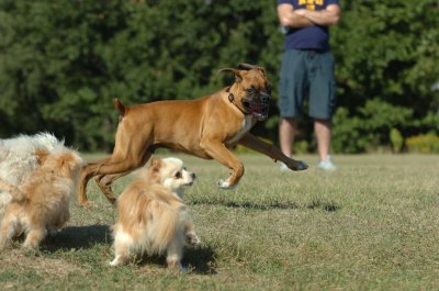 Sept13_07_042.JPG