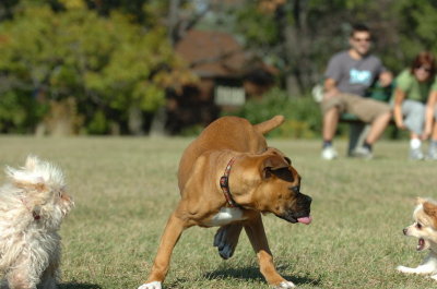 Sept13_07_047.JPG
