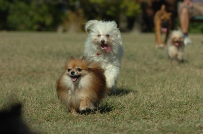 Sept13_07_051.JPG