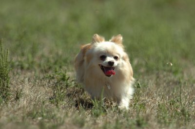 Sept13_07_054.JPG