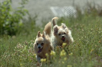 Sept13_07_057.JPG