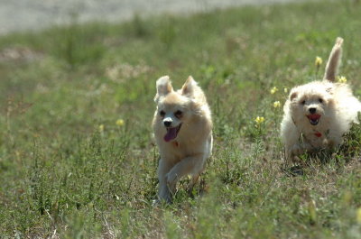 Sept13_07_058.JPG