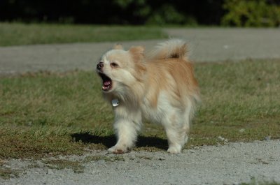 Sept13_07_067.JPG