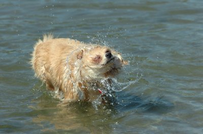 Sept14_07_209.JPG