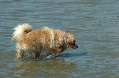 Sept14_07_227.JPG