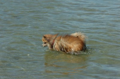 Sept14_07_228.JPG
