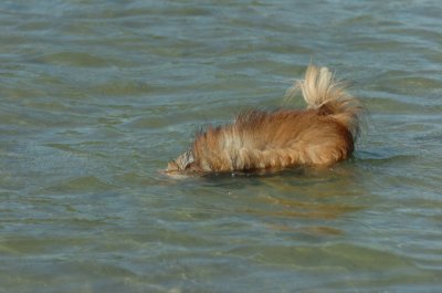 Sept14_07_231.JPG