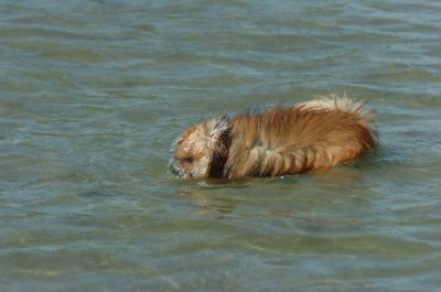 Sept14_07_232.JPG