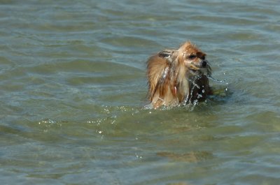 Sept14_07_235.JPG