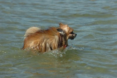 Sept14_07_236.JPG