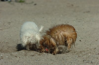 Sept14_07_238.JPG