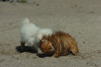 Sept14_07_240.JPG
