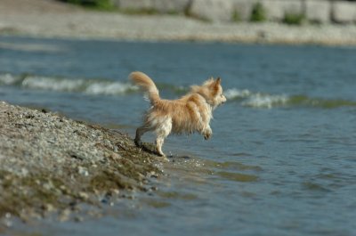 Sept14_07_247.JPG
