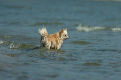 Sept14_07_249.JPG