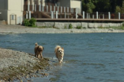 Sept14_07_253.JPG