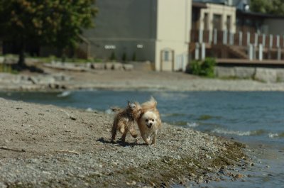 Sept14_07_254.JPG