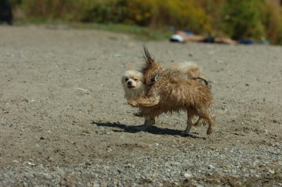 Sept14_07_255.JPG
