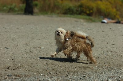 Sept14_07_256.JPG