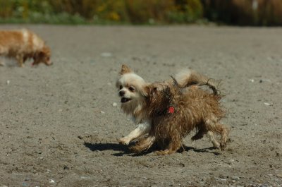 Sept14_07_259.JPG