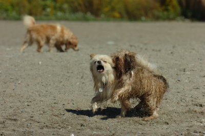 Sept14_07_260.JPG