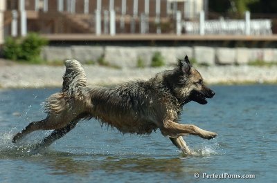 Sept20_07_340.JPG