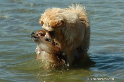 Sept20_07_402.JPG