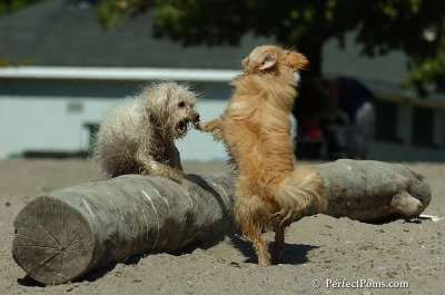 Sept20_07_430.JPG
