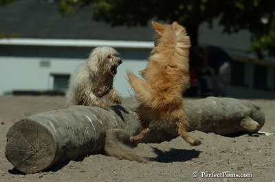 Sept20_07_431.JPG