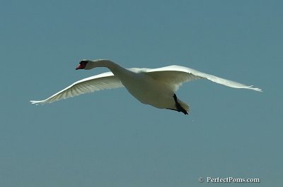 Sept20_07_500.JPG