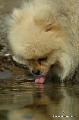 Sept21_07_1159.JPG