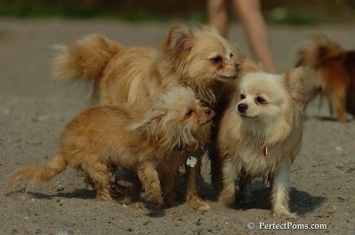 Sept21_07_1168.JPG