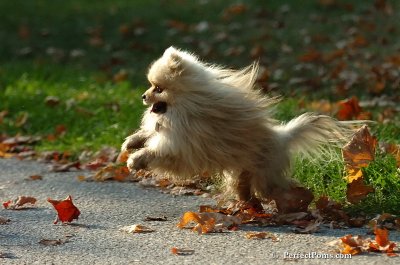 Oct5_07_395.jpg