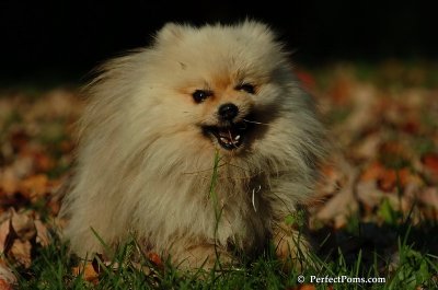 Oct5_07_412.jpg
