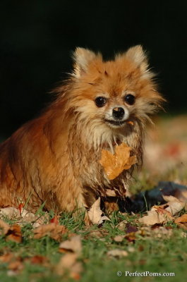 Oct5_07_449.jpg