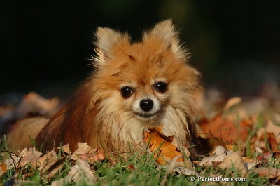 Oct5_07_484.jpg