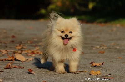Oct5_07_496.jpg