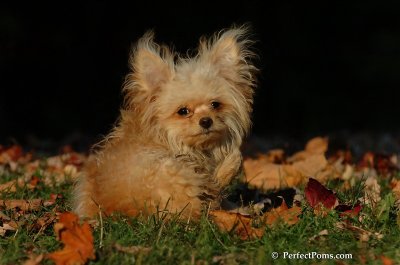 Oct5_07_501.JPG