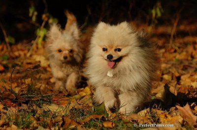Oct5_07_543.jpg