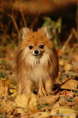 Oct5_07_551.jpg