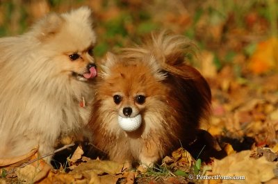 Oct5_07_554.jpg