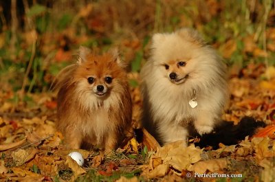 Oct5_07_557.jpg