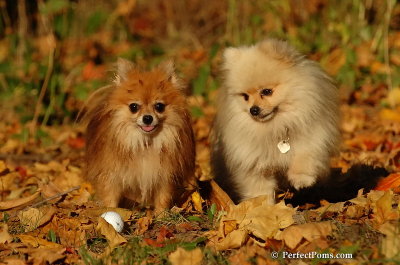 Oct5_07_558.jpg