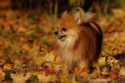 Oct5_07_563.JPG