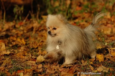 Oct5_07_577.jpg