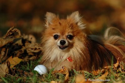 Oct5_07_585.JPG