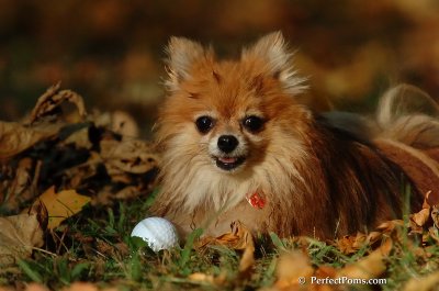 Oct5_07_587.JPG