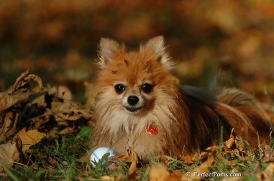 Oct5_07_589.JPG